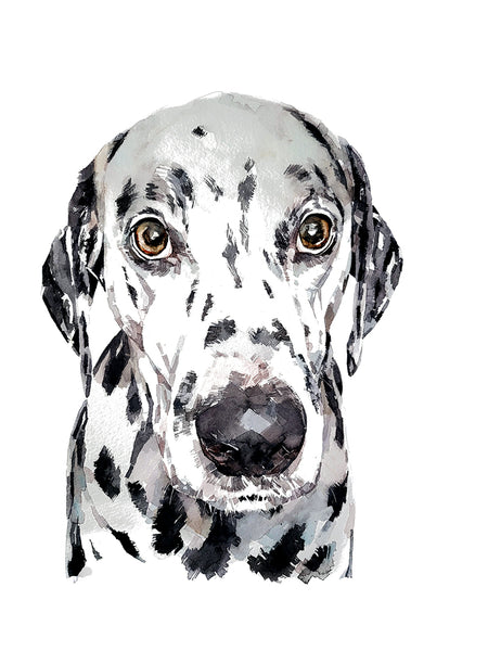 Dalmatian Dog - Original Watercolour A3/35*45cm