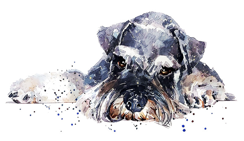 Schnauzer | Original Watercolour | Dog Lover Gift | Edswatercolours