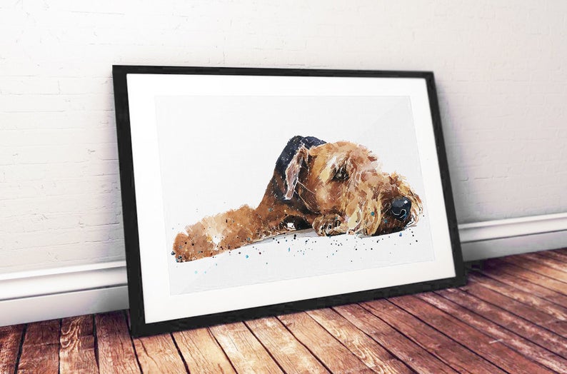Airedale Passed Out | Dog Art Print | Edswatercolours