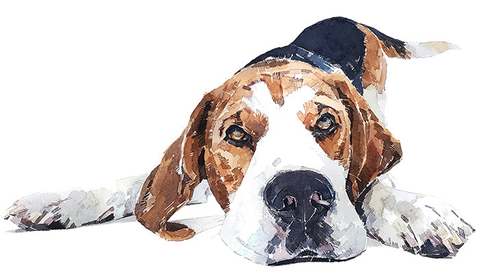 Beagle | Original Watercolour | Dog Lover Gift | Edswatercolours