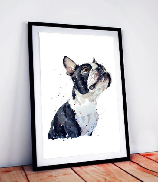 Patiently Waiting Boston Terrier " Print Watercolour.Boston Terrier art,Boston Terrier print,Boston Terrier watercolour,Boston Terrier wall art