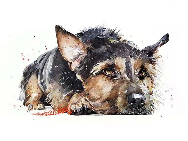 Cairn Terrier Passed Out 2 - Original Watercolour A2 (50*60cm/20*16 Inches). Cairn Terrier Watercolour Original painting.