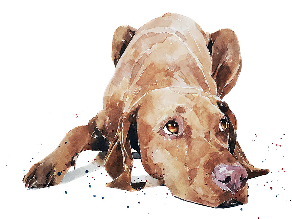 Vizsla III | Original Watercolour | Dog Lover Gift | Edswatercolours