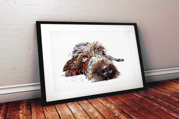 German Wirehaired Pointer RECLINED II" Print Watercolour.German Wirehaired Pointer art,German Wirehaired Pointer print,GWP wall art