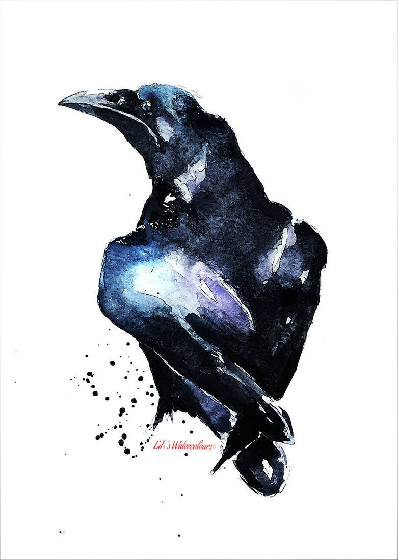 Raven II Watercolour Art Print | Bird Lover Gift | Edswatercolours
