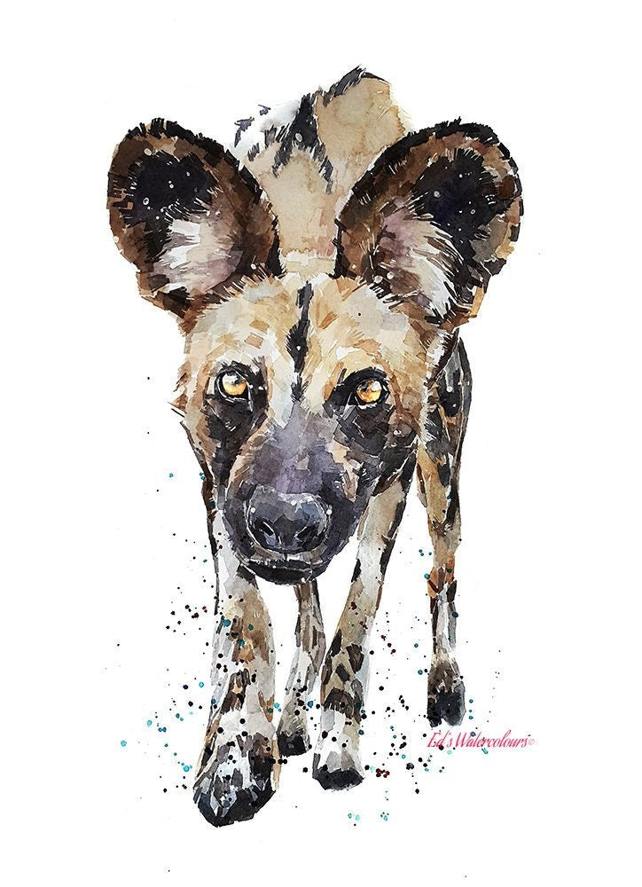 African Wild Dog 2" Print Watercolour.African Wild Dog art,African Wild Dog print, painted dog watercolour,African Wild Dog watercolour art