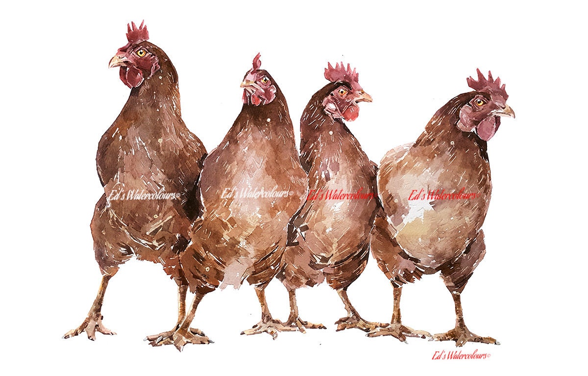 Hen Brigade | Chicken Lover Art Print | Edswatercolours