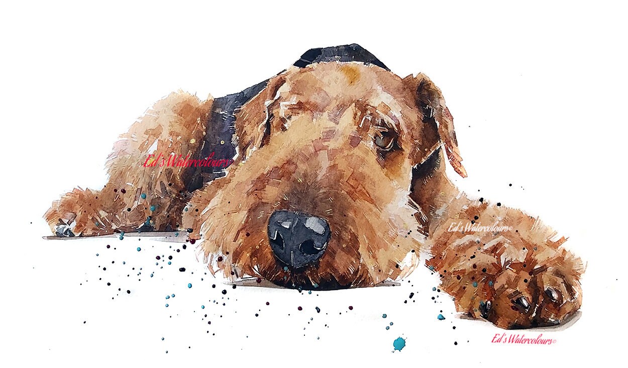Airedale in Recess - Watercolour Print.Airedale Terrier,Airedale Terrier art,Airedale Terrier print,Airedale Terrier watercolour