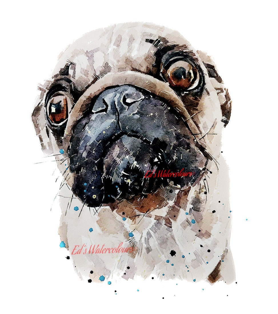 Pug - I Spy "Original Watercolour (16*12 inches/30*40cm).Pug Art,Pug Painting, Pug watercolour art,Pug watercolor painting.
