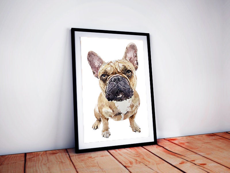 Fawn French Bulldog - Pomp " Print Watercolour, frenchie watercolour, frenchie art print, frenchie wall hanging,French bulldog fawn art