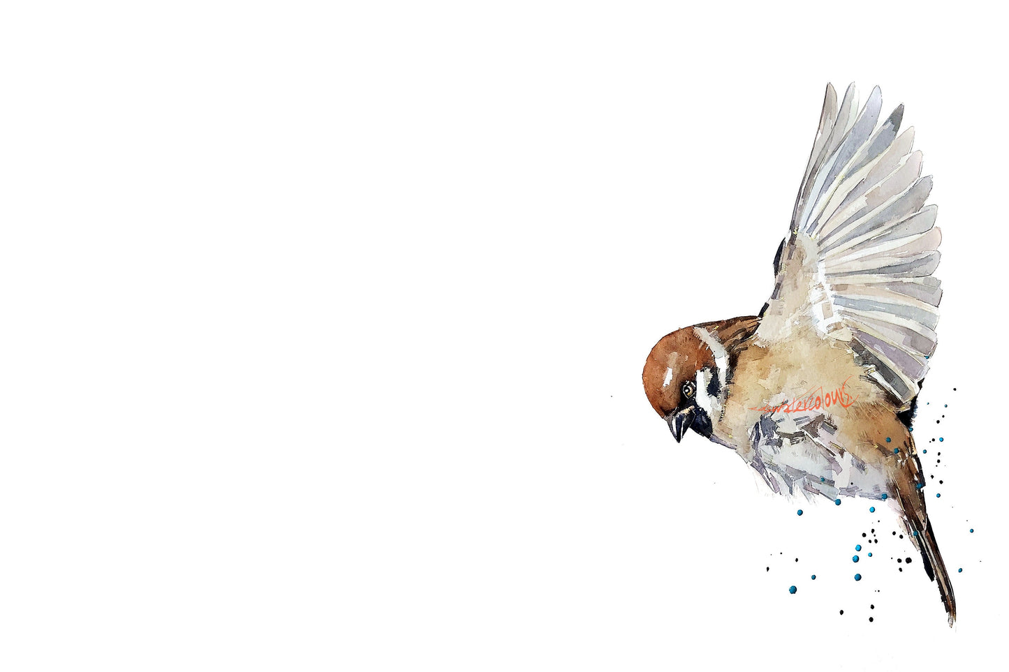 House Sparrow III Watercolour Art Print | Bird Lover Gift | Edswatercolours