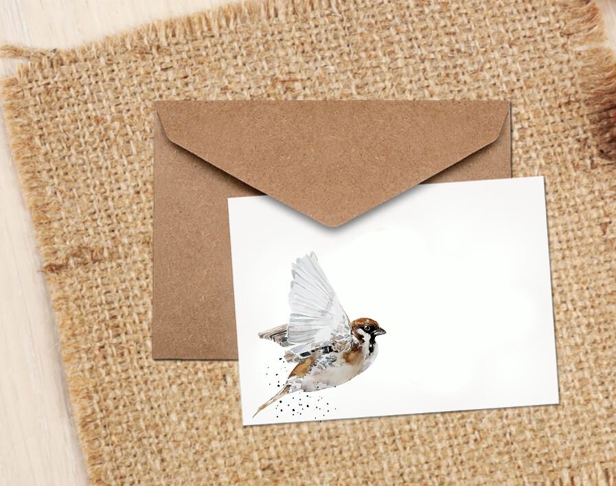 House Sparrow II Greeting Card | Wildlife Gift | Edswatercolours