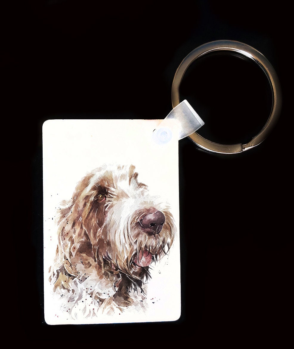 Spinone Italiano Keyring | Dog Gift | Multiple Designs | EdsWatercolours