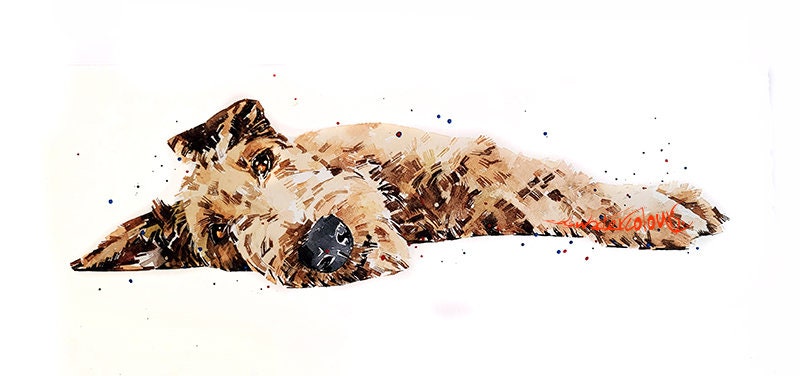 Irish Terrier Passed Out | Dog Art Print | Edswatercolours