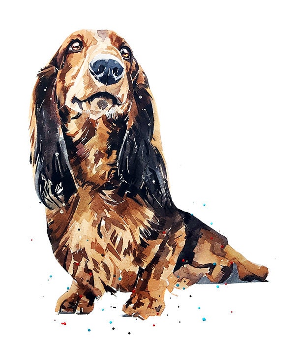 Long Haired Dachshund " Print Watercolour.Dachshund art,Dachshund print, Dachshund watercolor,Doxie watercolour, Sausage dog art print