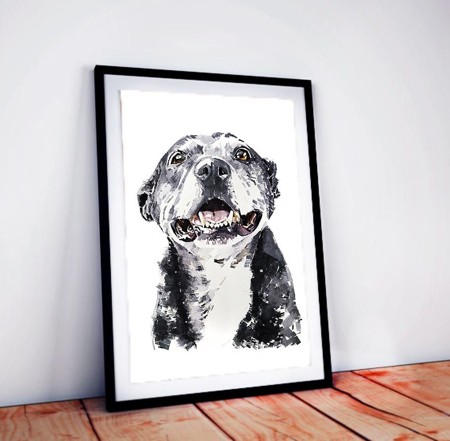 Old Staffordshire Bull Terrier SMILE II - Watercolour Print. Staffie Art,Staffie Print,Staffie watercolour,Staffie painting