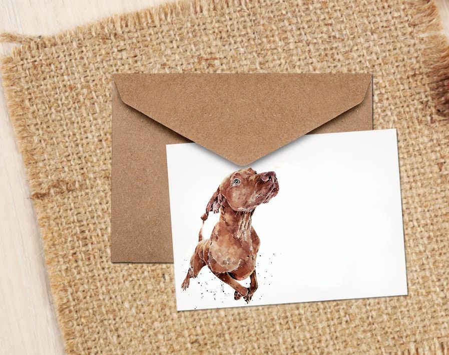 Vizsla Greeting Card III | Dog Lover Gift | Edswatercolours