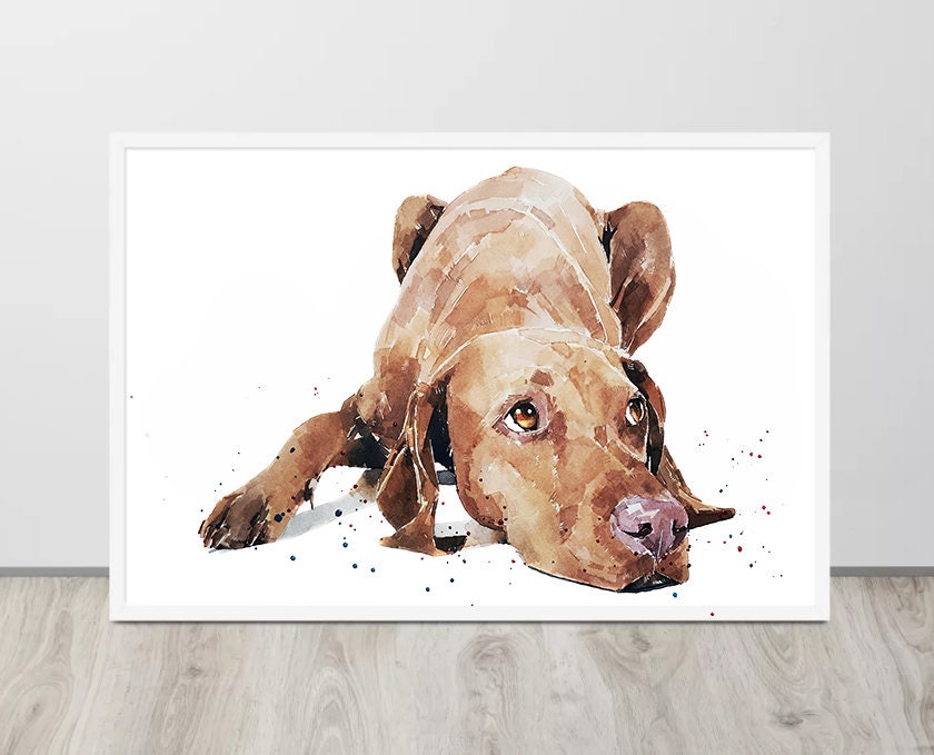 Vizsla - Calm before the Storm" Print Watercolour. Vizsla art,Vizsla print,Vizsla Watercolour,Vizsla Wall Decor, Vizsla Wall Hanging.