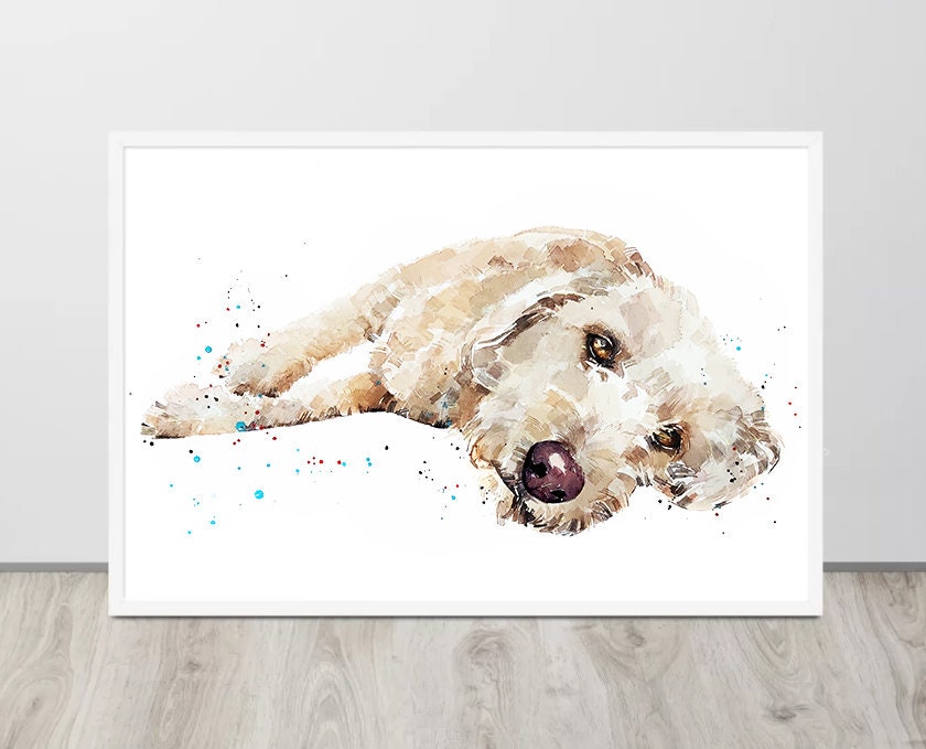 Labradoodle Reclined ." Print Watercolour. Labradoodle watercolor,Labradoodle art print, Labradoodle wall hanging,Labradoodle print.
