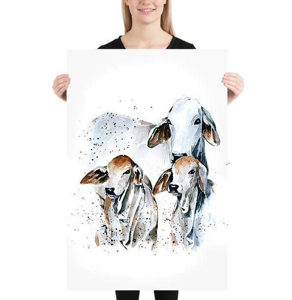 Brahman Cattle | Cow Lover Art Print | Edswatercolours