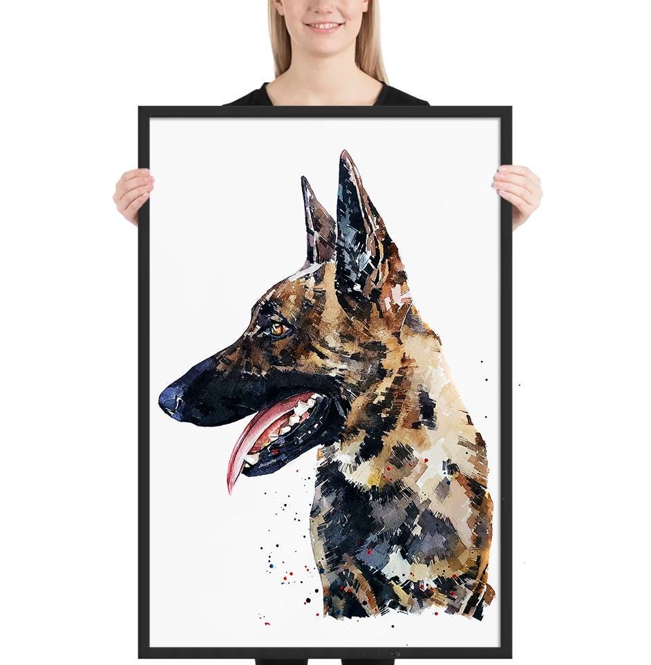 Belgian Malinois II " Print Watercolour, Belgian Malinois, Belgian Malinois Art, Belgian Malinois Print,Belgian Malinois wall hanging