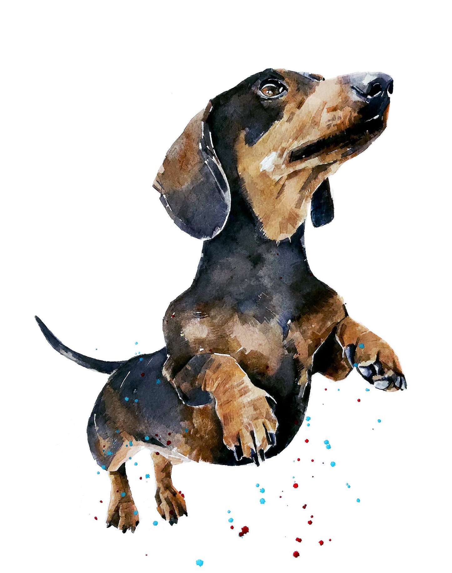 Dachshund | Original Watercolour | Dog Lover Gift | Edswatercolours