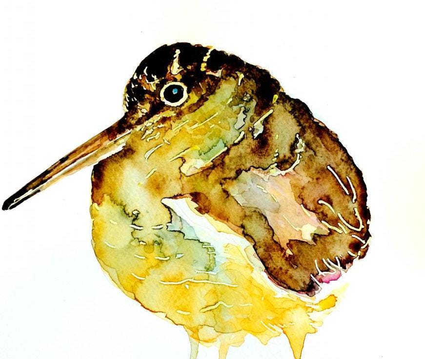 Woodcock II Watercolour Art Greeting/Note Card.Woodcock Cards,Woodcock Art cards,Woodcock greetings card