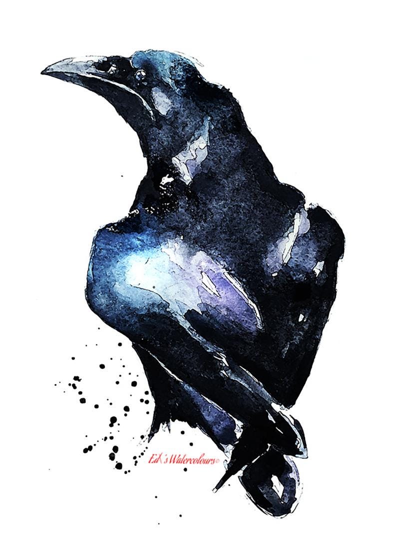 Raven Mini Art Print 17x12cm – Framed White Rustic Frame – A Touch of Shadow & Story. Crow mini art print, Raven Art print mini