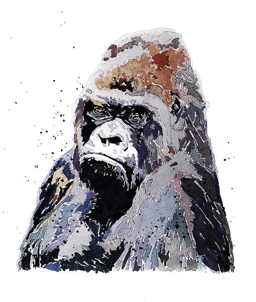 Silverback Gorilla Greeting Card | Wildlife Gift | Edswatercolours