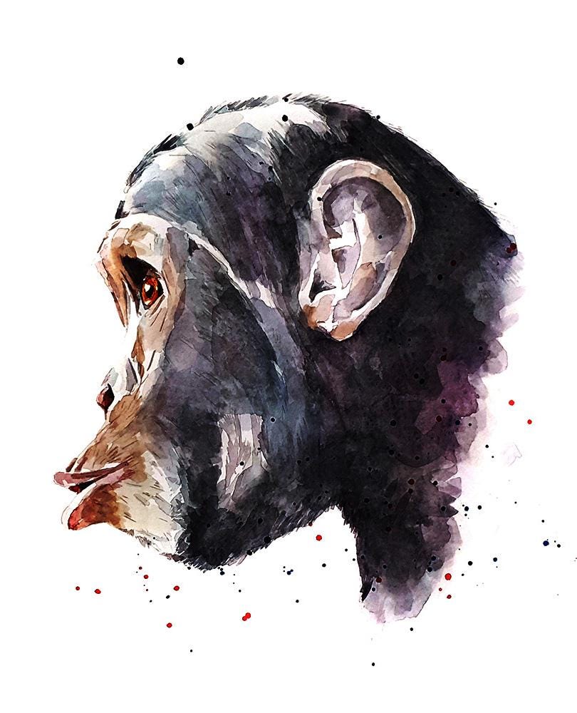 Chimpanzee Greeting Card | Wildlife Gift | Edswatercolours