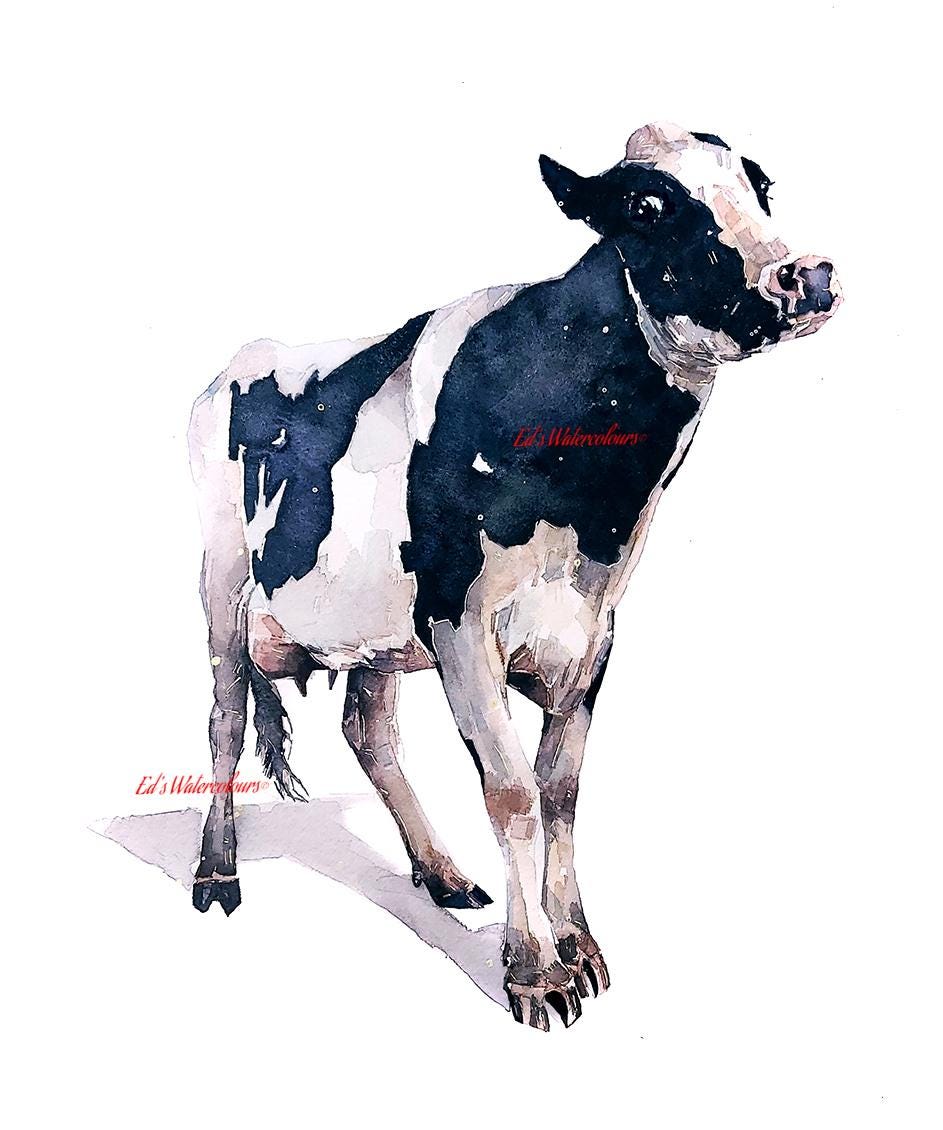 Whimsical Cow Greeting Card | Country Animal Gift | Edswatercolours