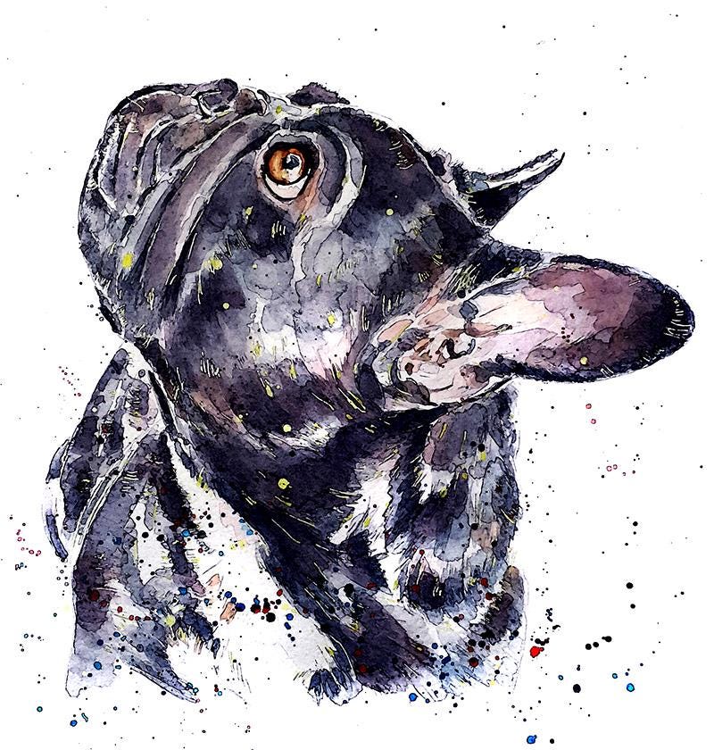 French Bulldog Greeting Card | Dog Lover Gift | Edswatercolours