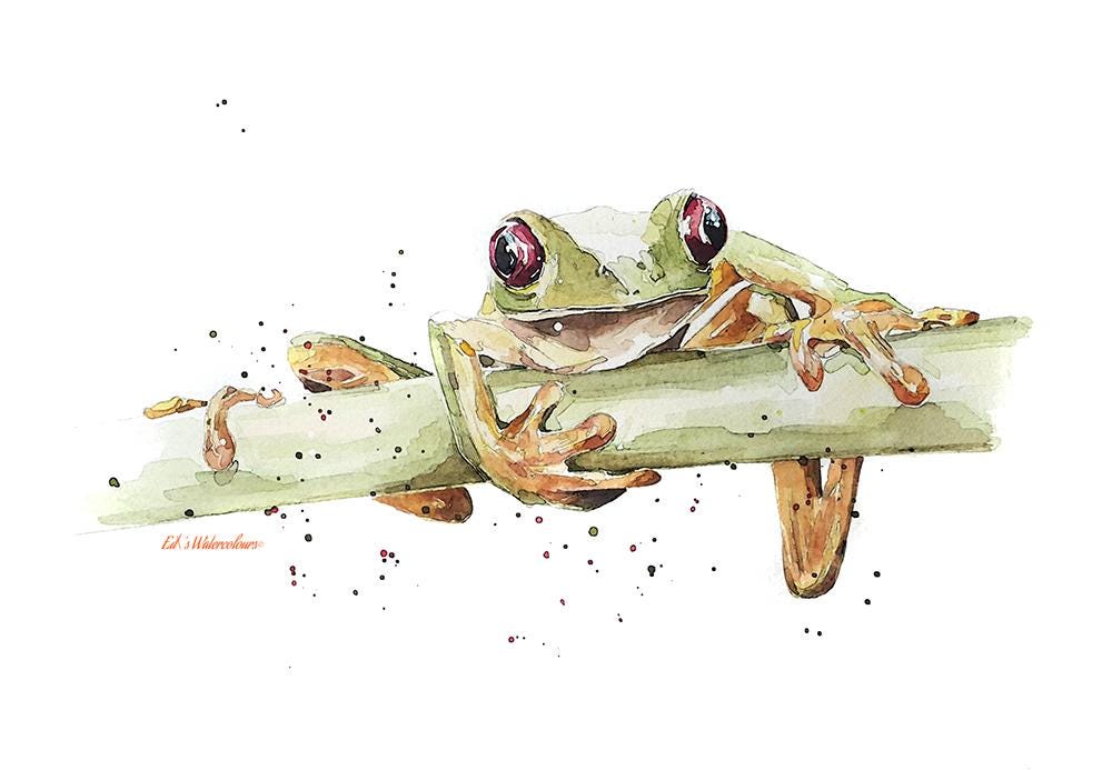 Green Tree Frog Greeting Card | Wildlife Gift | Edswatercolours