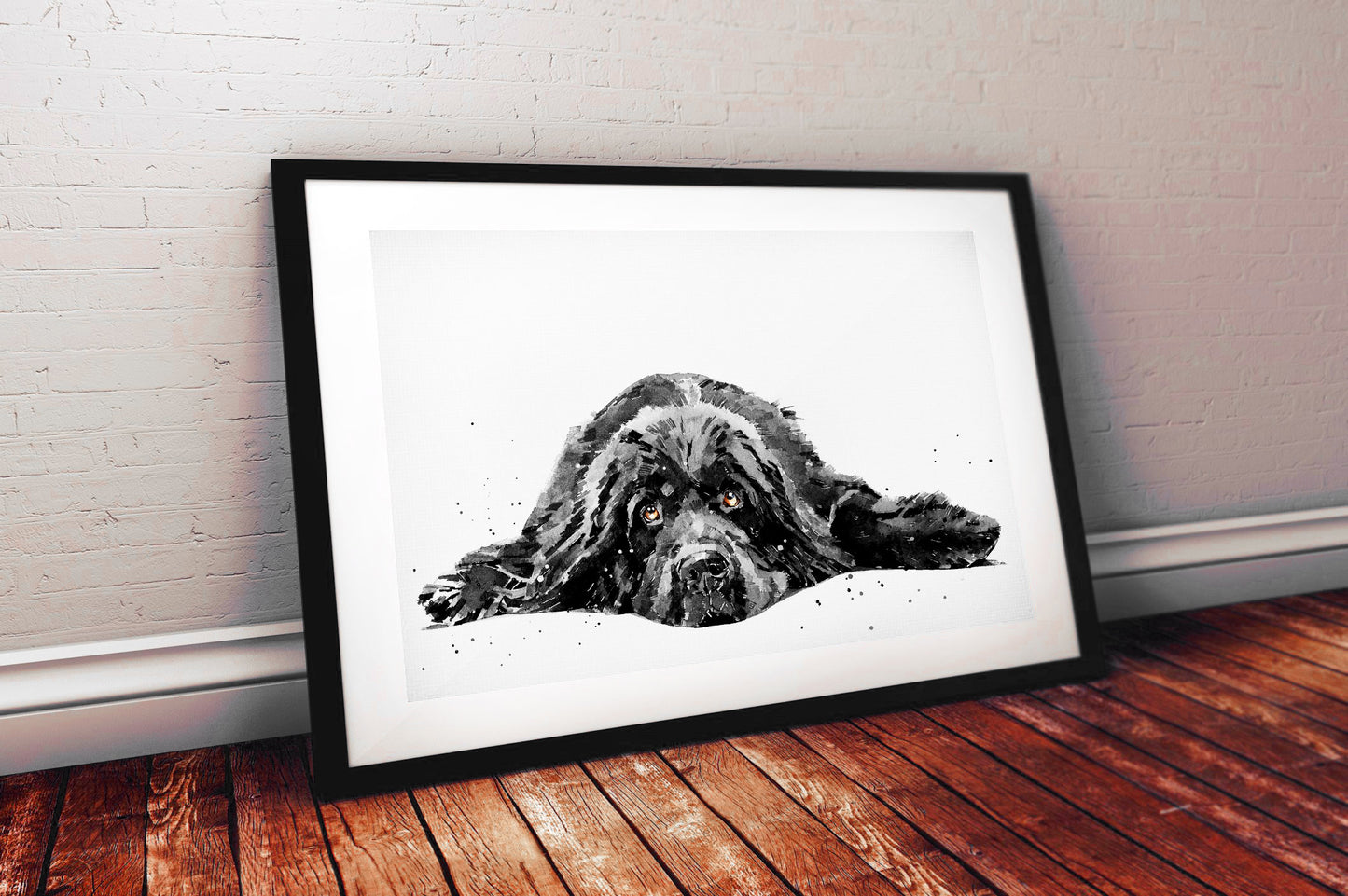 Newfoundland Dog | Dog Art Print | Edswatercolours