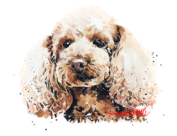 Apricot Poodle - Watercolour Print