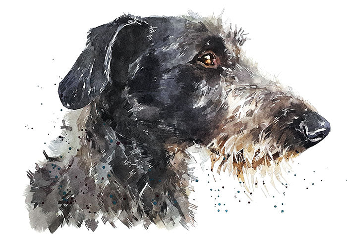 Scottish Deerhound | Original Watercolour | Dog Lover Gift | Edswatercolours