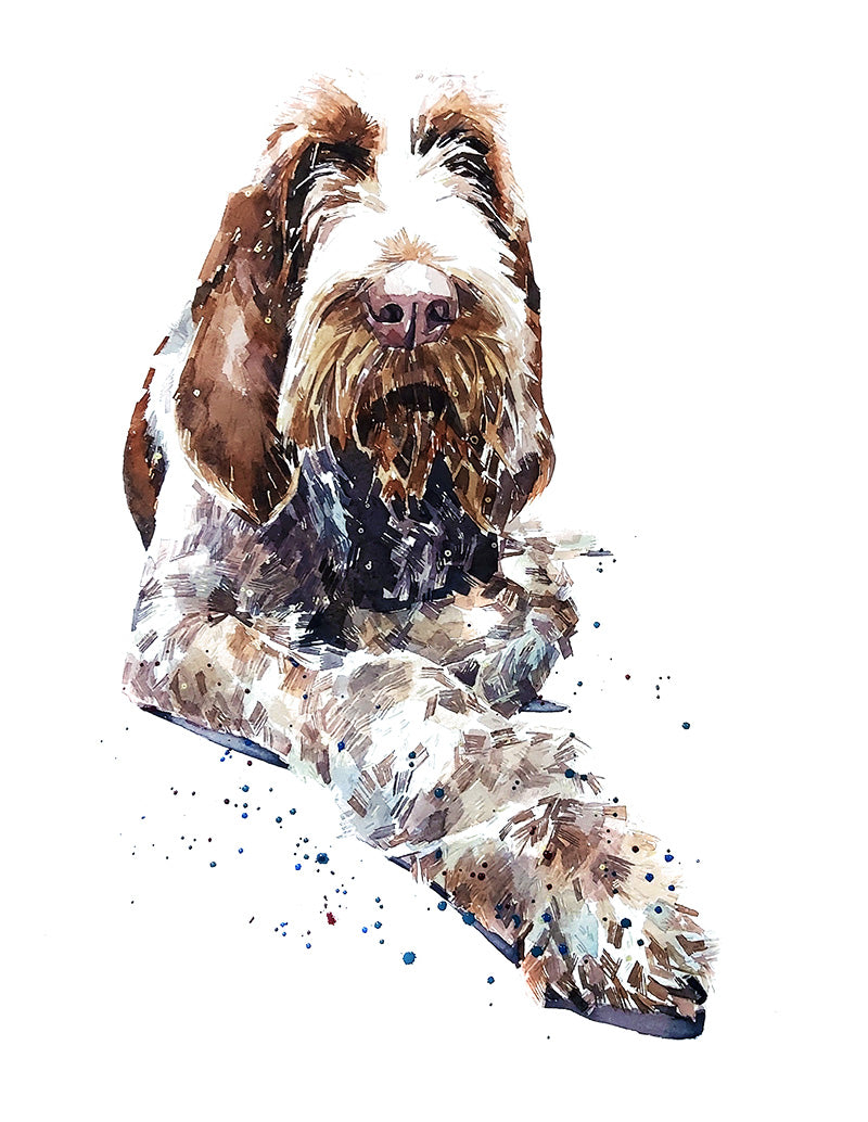 Spinone Italiano II | Original Watercolour | Dog Lover Gift | Edswatercolours