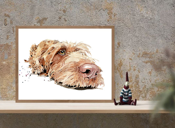 Wirehaired Vizsla  " Print Watercolour.Wirehaired Vizsla art,Wirehaired Vizsla print,Wirehaired Vizsla watercolour,Wire Vizsla wall art
