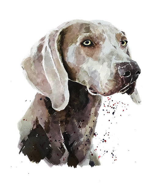 "Weimaraner (Version 1)" - Watercolour Print
