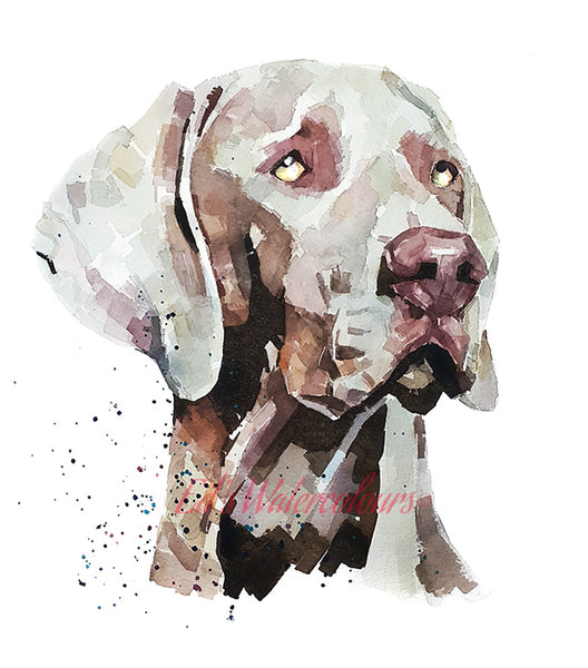 "Weimaraner: The Boss" - Watercolour Print