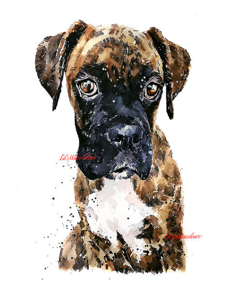 "Boxer (Version 2)" - Watercolour Print