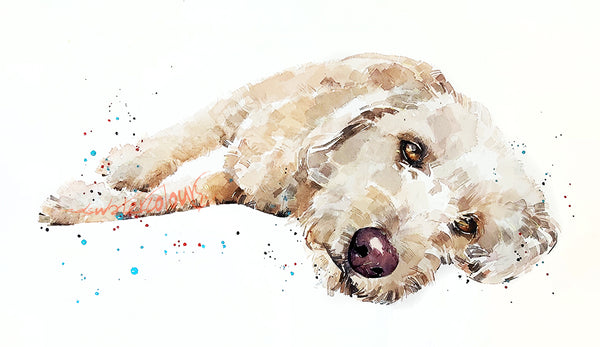 Labradoodle Reclined ." Print Watercolour. Labradoodle watercolor,Labradoodle art print, Labradoodle wall hanging,Labradoodle print.