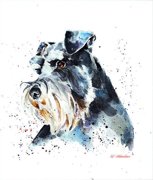 "Schnauzer and Proud" Watercolour Print