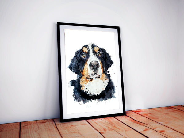 Bernese Mountain Dog - Watercolour Print. Bernese Mountain Dog Art Print
