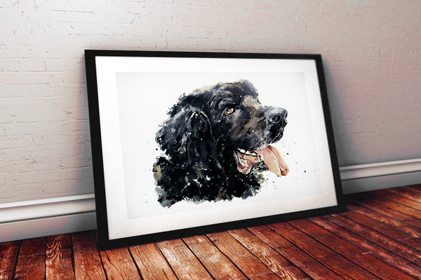 Newfoundland Dog II - Watercolour Original