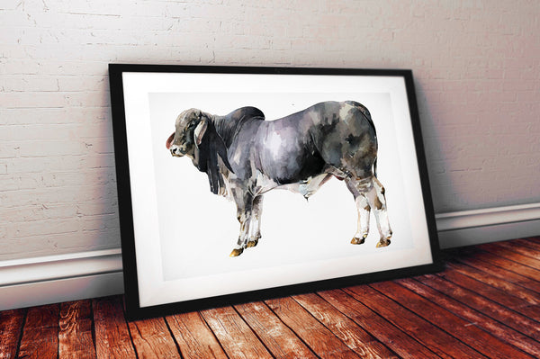 Grey Anatomy  Brahman Bull - Original Watercolour A2 (24*19 Inches).Brahman Cattle painting, Brahman Bull watercolor £1,500.00