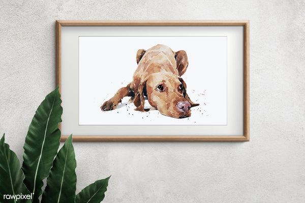 "Vizsla: Calm Before The Storm" - Watercolour Print