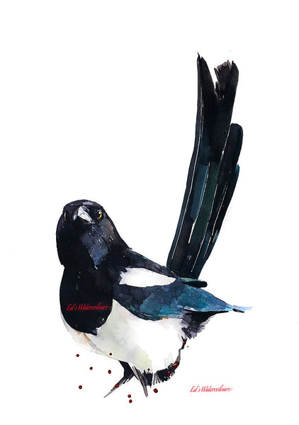 Magpie "  Watercolour Print,Magpie art,Magpie watercolour,Magpie watercolour print,Magpie watercolor,Magpie art wall hanging,Magpie painting
