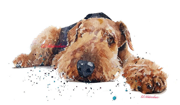 Airedale in Recess - Watercolour Print.Airedale Terrier,Airedale Terrier art,Airedale Terrier print,Airedale Terrier watercolour