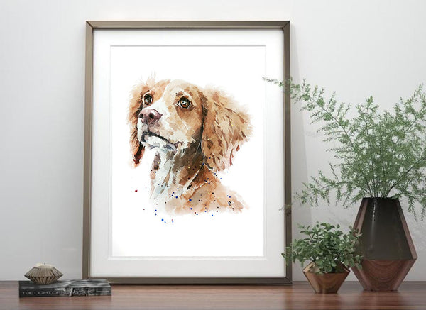 Cocker Spaniel Soulful" Print Watercolour. Cocker Spaniel art,Cocker Spaniel watercolour,Cocker Spaniel watercolor,Cocker Spaniel art print.